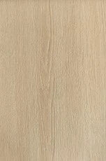 SM1007-1 SM1007-1