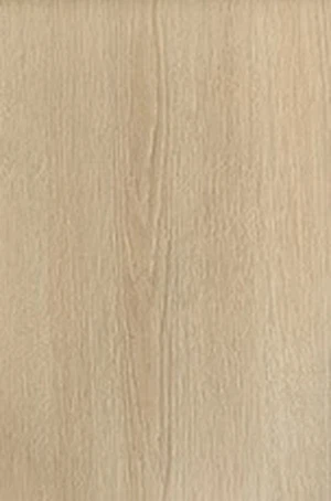 SM1007-1 SM1007-1